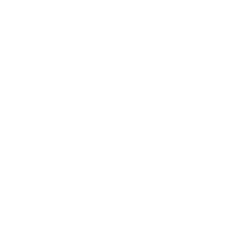 BZ Logo