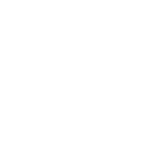 DW Logo